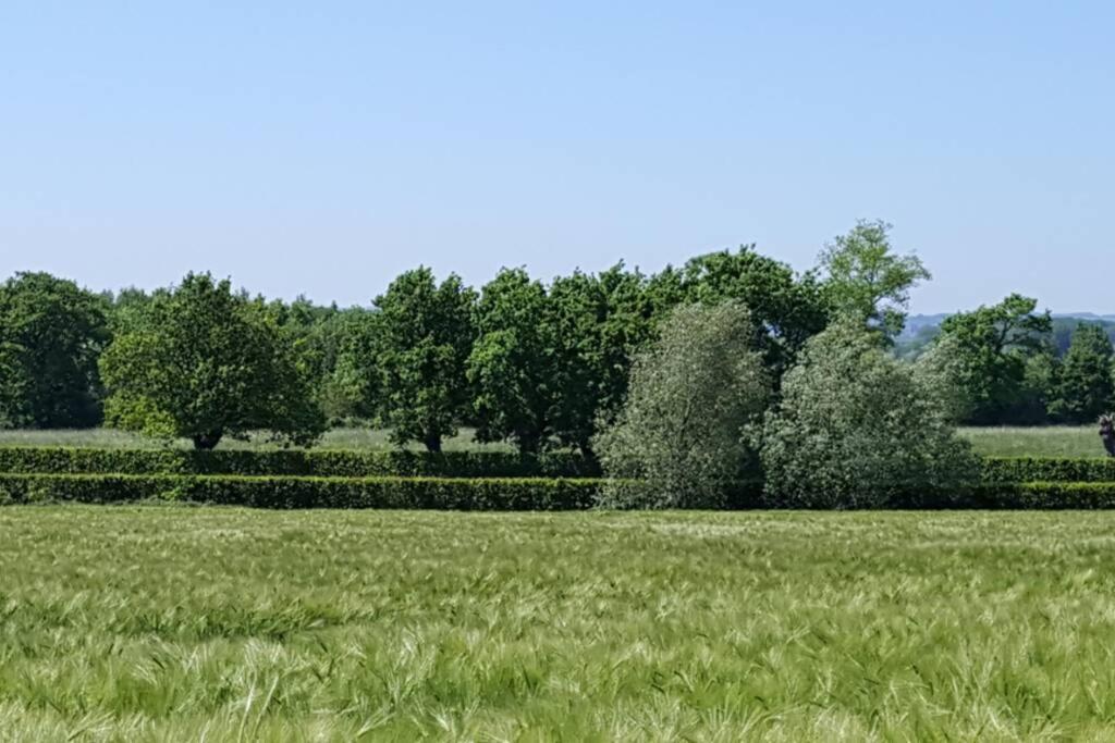 Gite Du Bocage Buysscheure Экстерьер фото